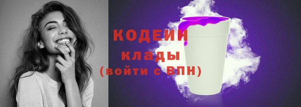 твердый Верхний Тагил